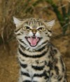 /album/fotogaljerija/a77777-15-jpg/